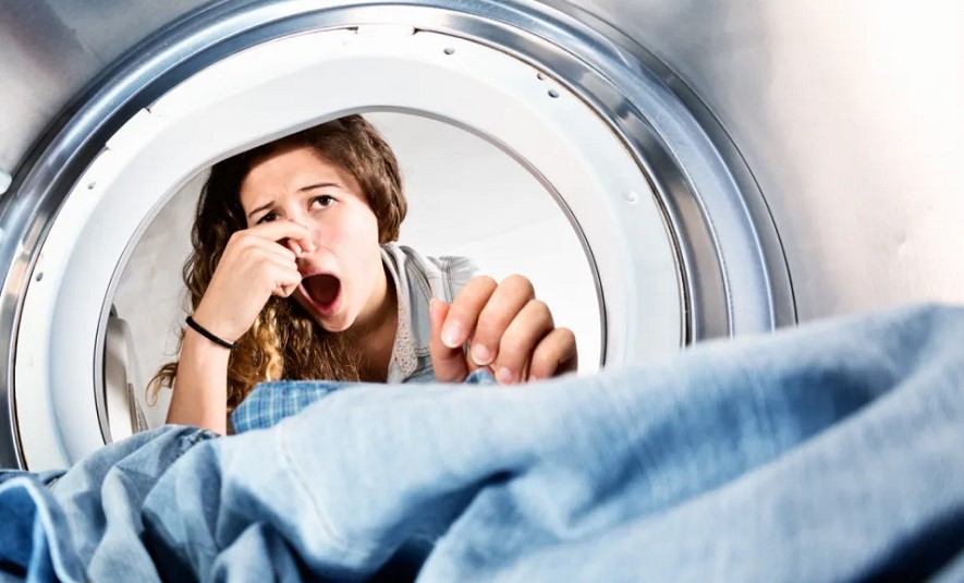 Rotten Egg Smell From Washing Machine: Top Helpful Tips
