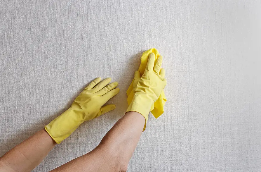 how to clean basement walls
