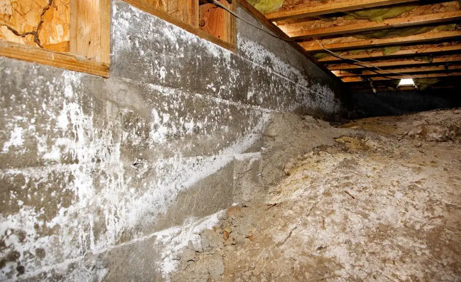 what should crawl space humidity be